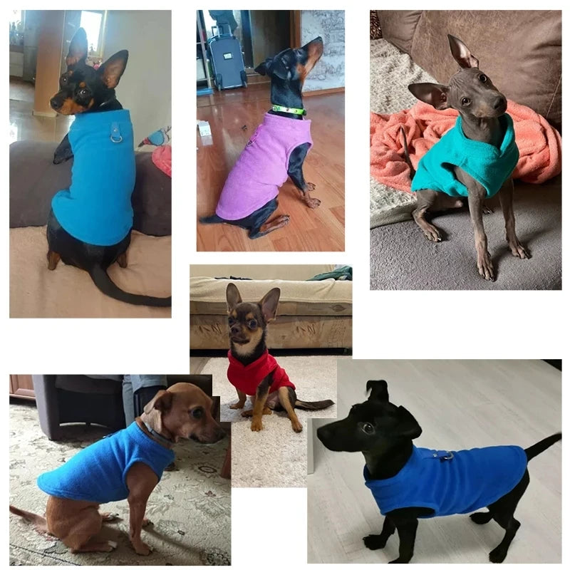 Warm Fleece Dogs Clothes Pet Dog Jacket Vest With D-Ring For Small Dog Cats Clothing French Bulldog Costumes Chihuahua Coat K's Collection Store