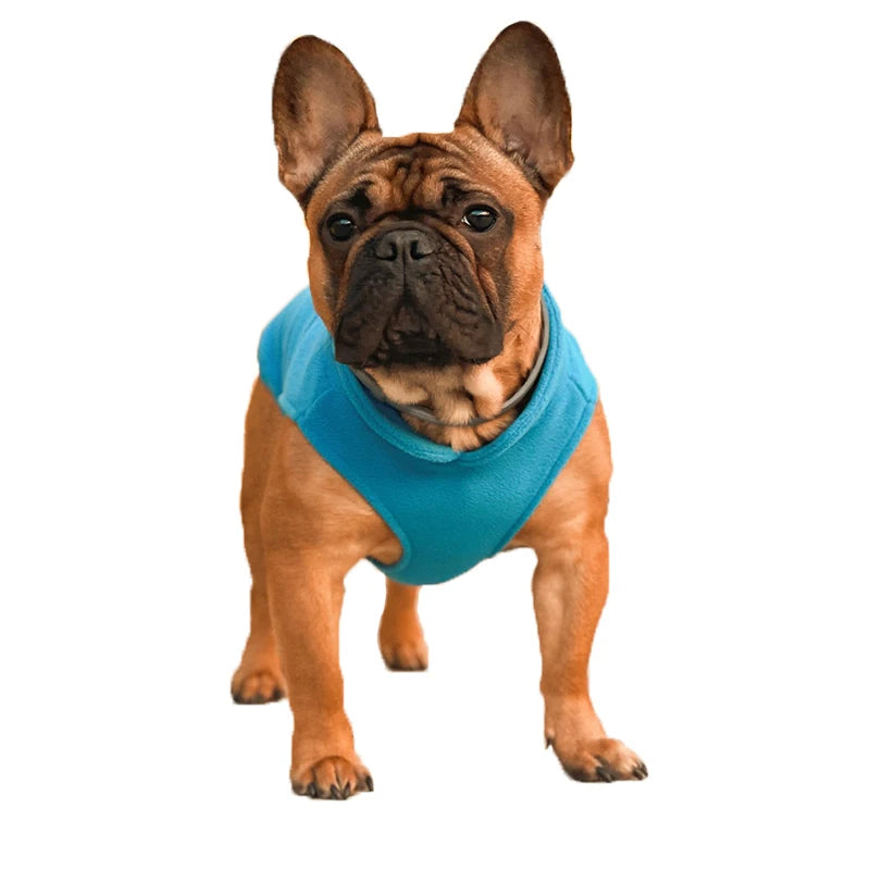 Warm Fleece Dogs Clothes Pet Dog Jacket Vest With D-Ring For Small Dog Cats Clothing French Bulldog Costumes Chihuahua Coat K's Collection Store