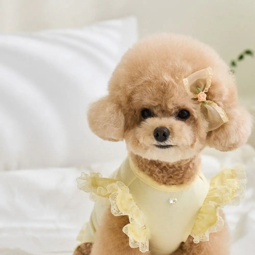 Pet Supplies Lace Pet Summer Vest Soft Flying Sleeve Cat Base Skirt Breathable Dog Clothes Puppy K's Collection Store