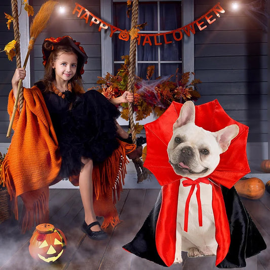 Halloween Pet Costumes Cute Cosplay Vampire Cloak for Small Dog Cat Kitten Puppy Dress Kawaii Pet Clothes Cat Accessoties K's Collection Store