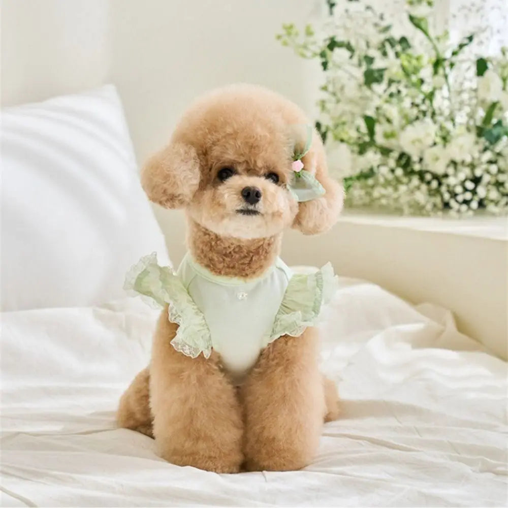 Pet Supplies Lace Pet Summer Vest Soft Flying Sleeve Cat Base Skirt Breathable Dog Clothes Puppy K's Collection Store