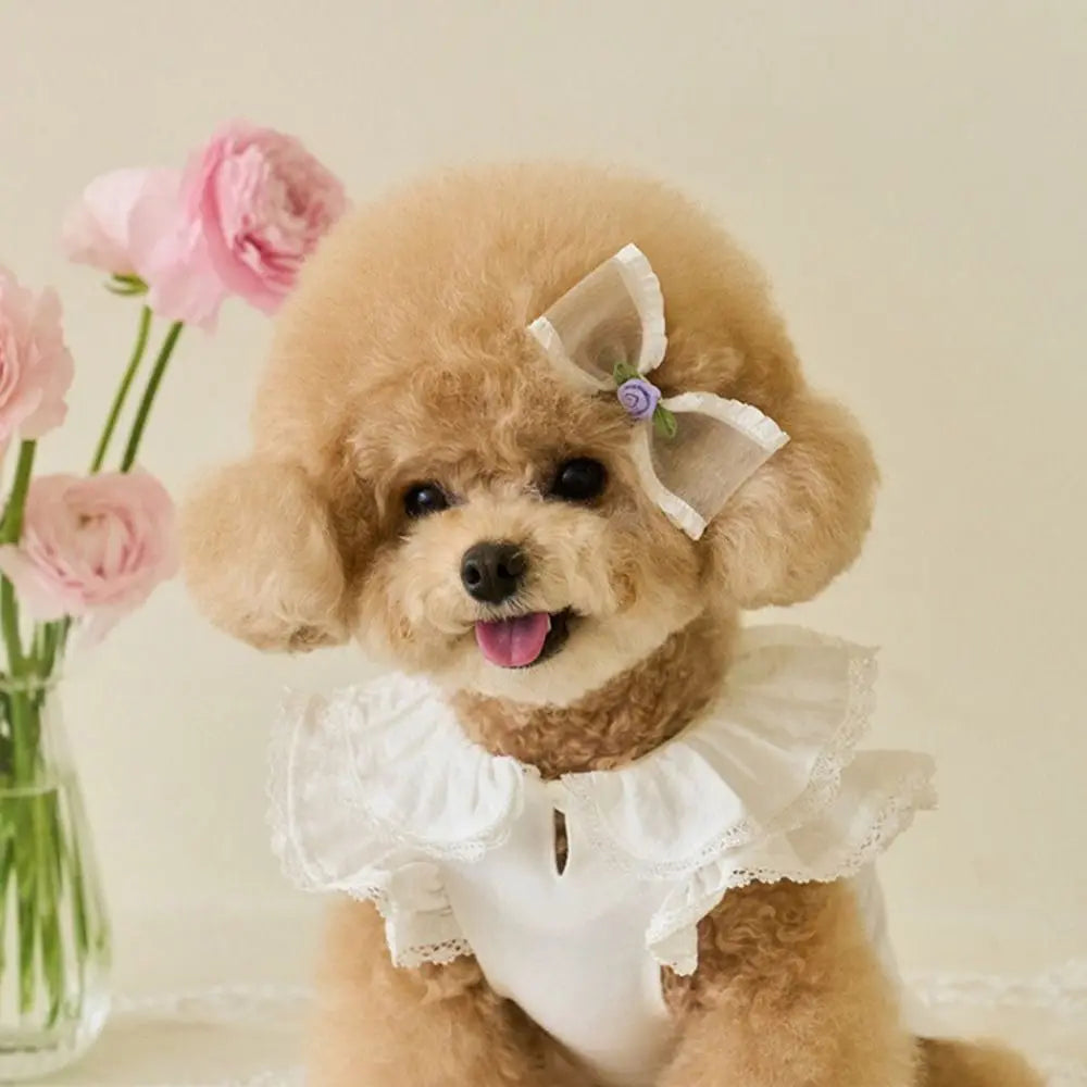 Pet Supplies Lace Pet Summer Vest Soft Flying Sleeve Cat Base Skirt Breathable Dog Clothes Puppy K's Collection Store