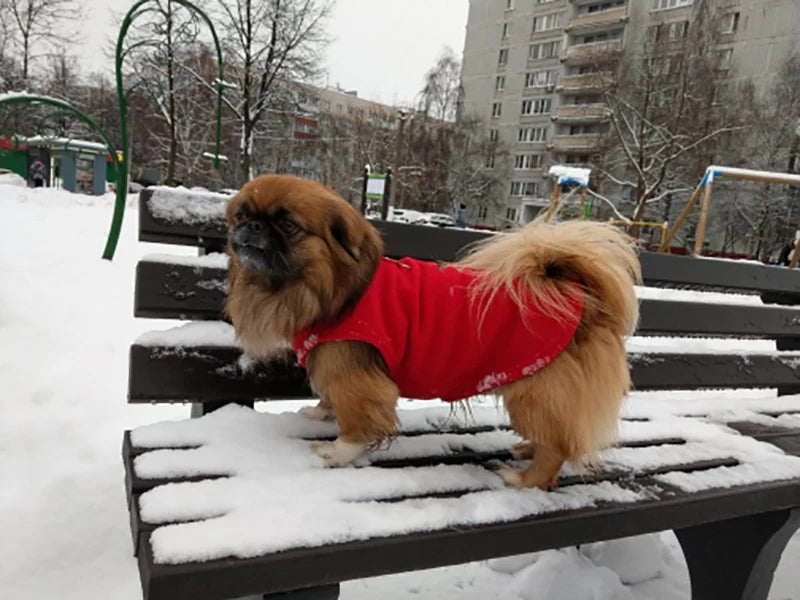 Warm Fleece Dogs Clothes Pet Dog Jacket Vest With D-Ring For Small Dog Cats Clothing French Bulldog Costumes Chihuahua Coat K's Collection Store