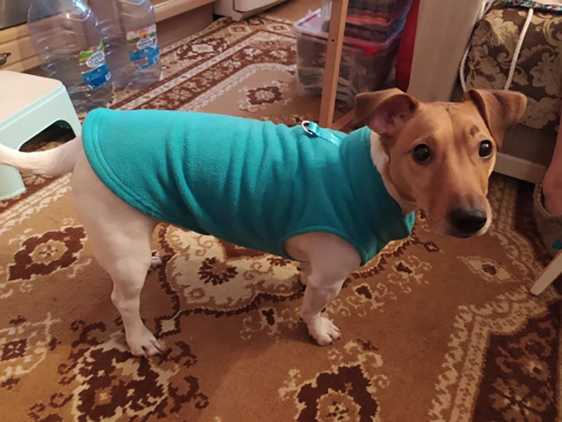Warm Fleece Dogs Clothes Pet Dog Jacket Vest With D-Ring For Small Dog Cats Clothing French Bulldog Costumes Chihuahua Coat K's Collection Store