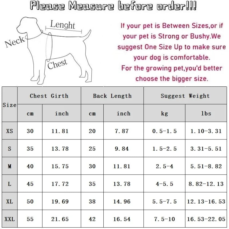 Luxury Striped Dog Cardigan Sweater | Small Dogs, Chihuahua, Bichon, Kitten – Warm Pet Coat K's Collection Store