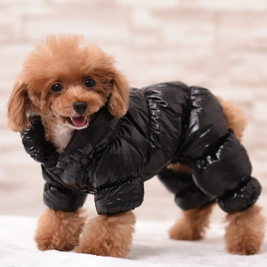 Pet Clothing Puppy Windproof Clothing Winter Dog Clothin Autumn and Winter Comfortable and Warm Home Outdoor Pet Clothing K's Collection Store
