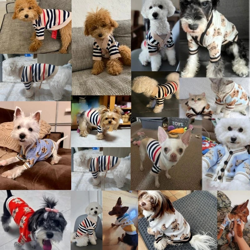 Luxury Striped Dog Cardigan Sweater | Small Dogs, Chihuahua, Bichon, Kitten – Warm Pet Coat K's Collection Store