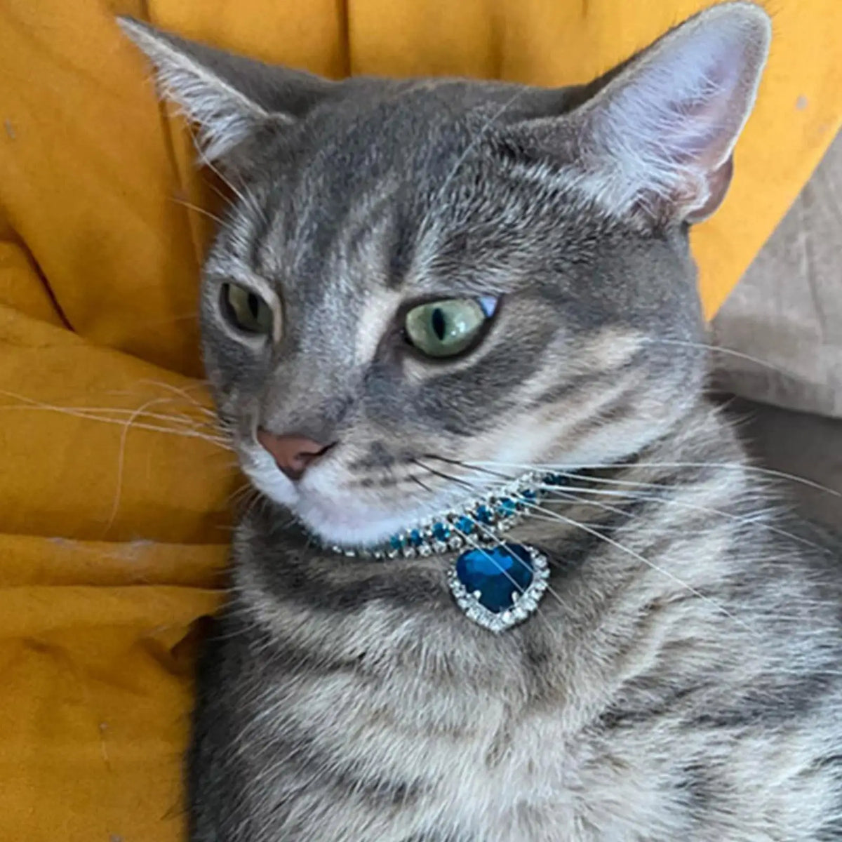 Luxury Crystal Cat Collar Love Pendant Necklace Pet Collar Adjustable Small Dog Cat Neck Ring Rhinestone Collar Pet Accessories K's Collection Store