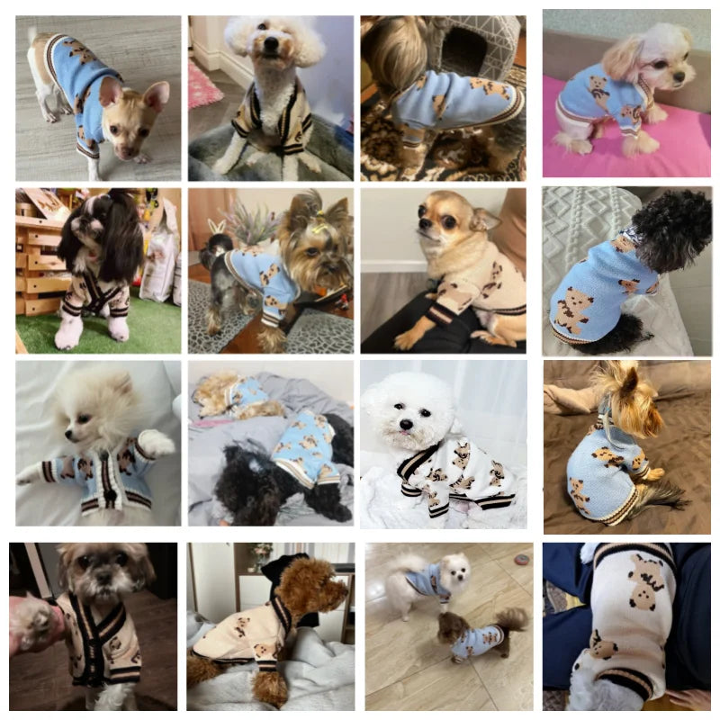 Luxury Striped Dog Cardigan Sweater | Small Dogs, Chihuahua, Bichon, Kitten – Warm Pet Coat K's Collection Store